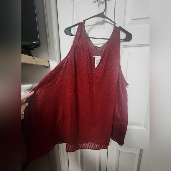 Torrid Lace NWT Women's Red Sleeveless Top Size 4x - Picture 2 of 8